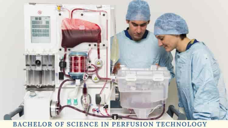 Bachelor of Science in Perfusion Technology